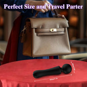 Mini Wand Vibes-Black