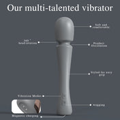 TwistWave AV Wand-Gray