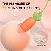 Carrot Bullet Vibrator