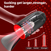 Spartan Stamina Trainer Cup