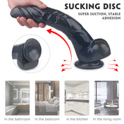 Suction Cup Dildos